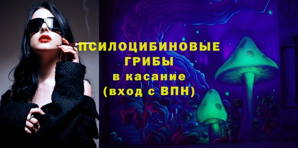 эйфоретик Алзамай