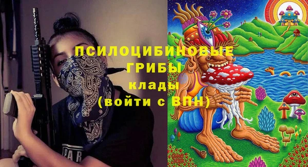 эйфоретик Алзамай
