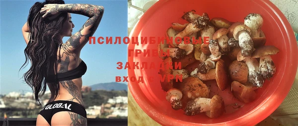 PSILOCYBIN Алексеевка