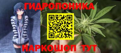 spice Волжск