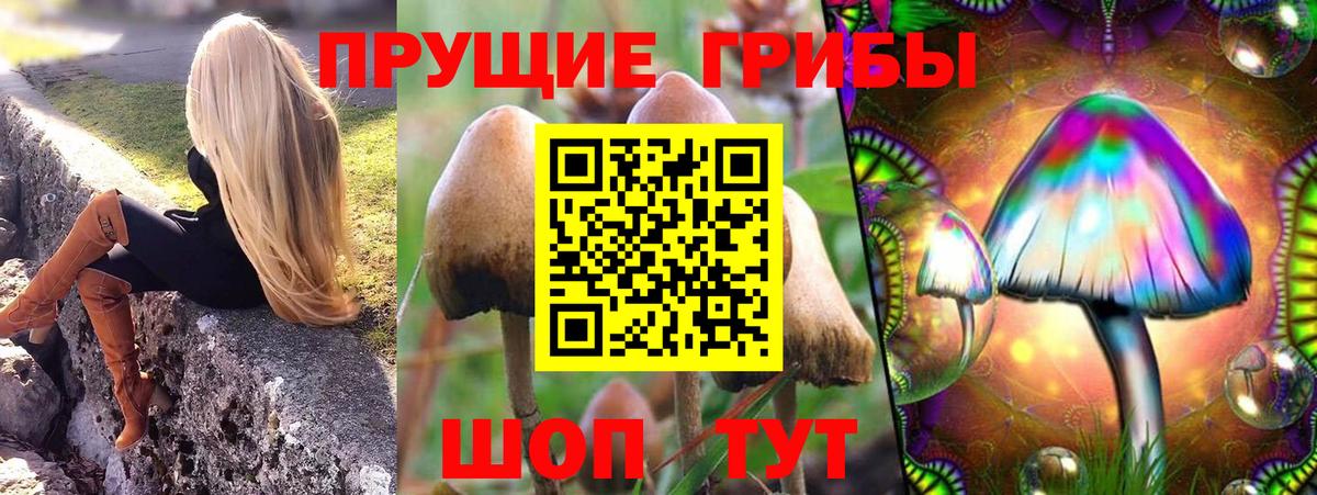 Псилоцибиновые грибы Magic Shrooms Новоуральск