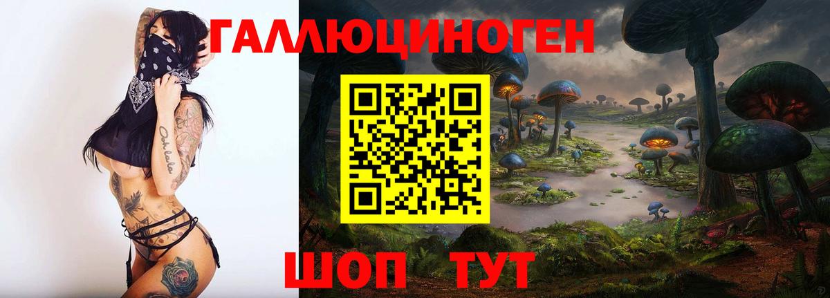 Псилоцибиновые грибы Psilocybine cubensis  Вход с VPN  Новоуральск  Псилоцибиновые грибы прущие грибы 